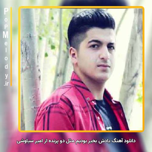 دانلود آهنگ امیر سیاوشی یادش بخیر بودیم مثل دو پرنده